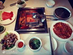 鸳鸯锅-红鼎坊·老成都火锅(新南门店)