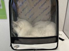 -艾吉宠物医院·疑难杂症转诊中心·猫友好(碧江路院)