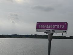 -梁子湖东篱老屋生态庄园