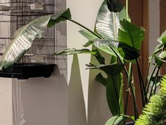 -瓦舍茶馆(聚源路店)
