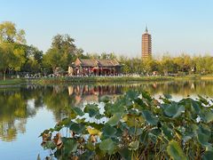 -西海子公园