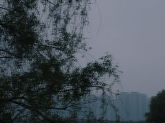 -洋湖国家湿地公园