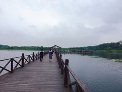 -溱湖国家湿地公园