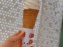经典豆乳冰淇淋-维维豆奶(金鹰新街口店)