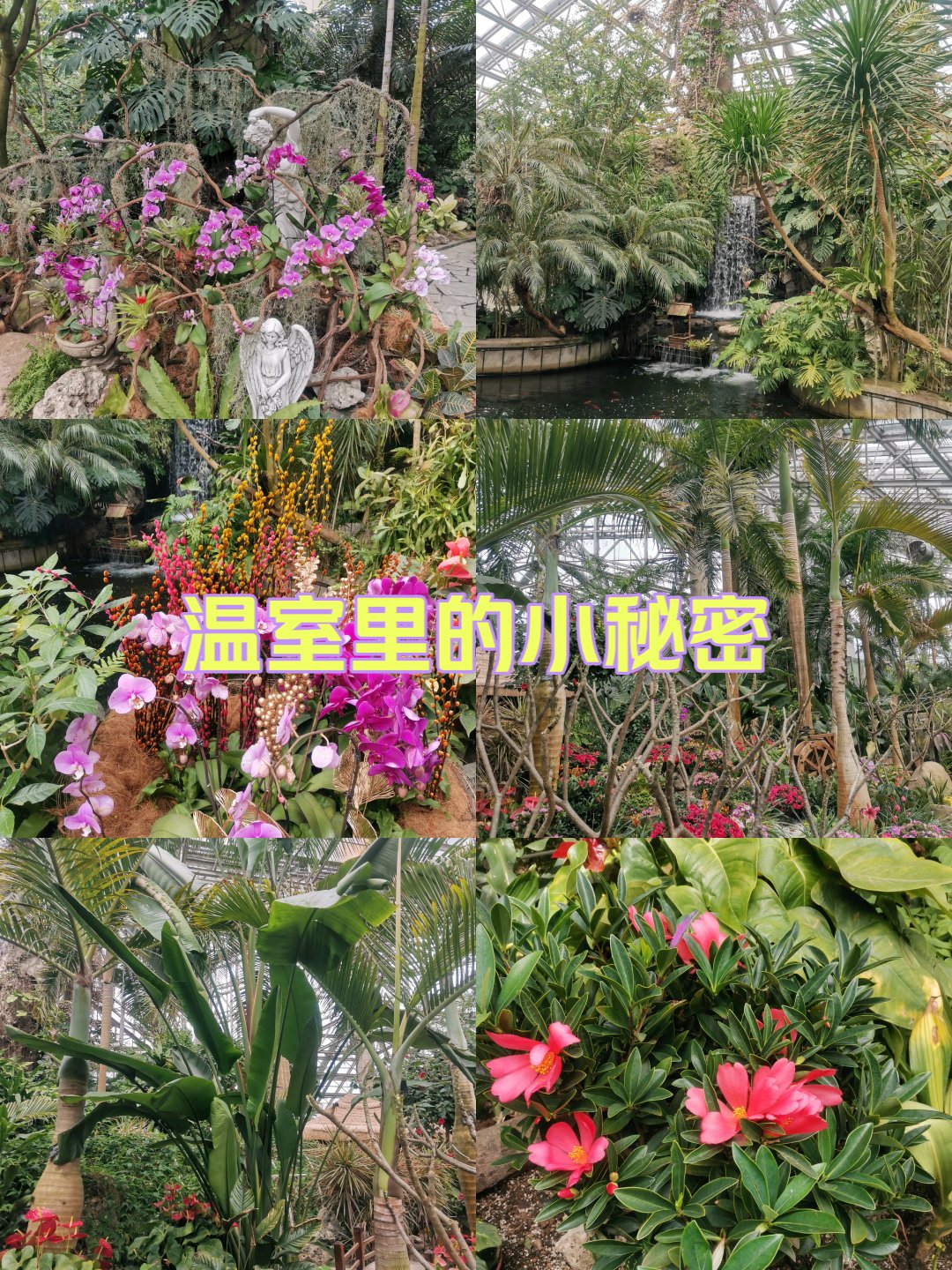 上海植物园温室简介图片