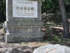 -白水寺森林公园