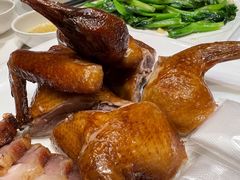 光明浸烧乳鸽-锦粤宫·精致粤菜(深圳北站店)