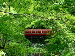 -三千院