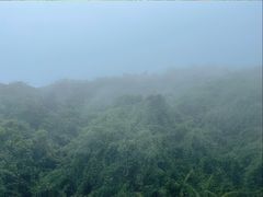 -三亚亚龙湾人间天堂鸟巢度假村