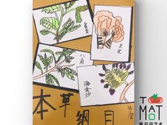 -学知乐教育·幼小衔接·小学科辅导(浦东外高桥森兰中心)