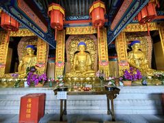 -北京凤凰岭