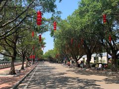 -南沙天后宫景区