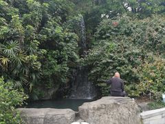 -金鸡山公园