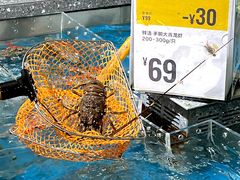 -盒马鲜生(岭南新世界店)