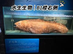 -国家自然博物馆