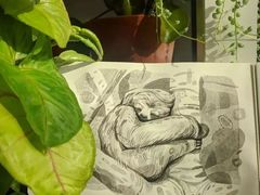 -八哥美术·成人美术画室(总校区)