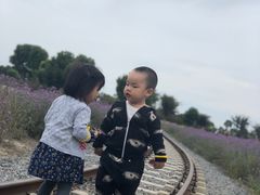 -歌斐颂巧克力小镇