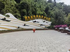 -西双版纳原始森林公园
