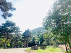 -北京西山国家森林公园