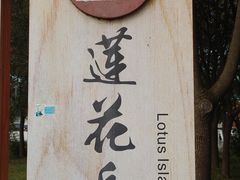 -莲花岛景区