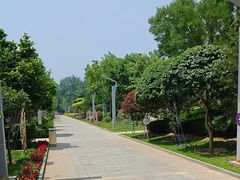 -南宫五洲植物乐园