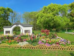 -上海共青森林公园