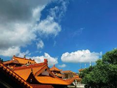-深圳仙湖植物园