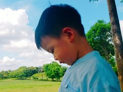 景点-大沙河公园