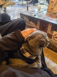 -青木造型HAIR·あおき髪を刈る潮人店