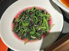 -小厨娘金榜题名(夫子庙秦淮河店)