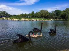 -万柳高尔夫俱乐部