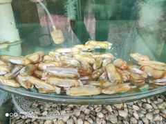 -东来菜馆•手抓海鲜家常菜•海鲜锅贴(鸽子窝店)