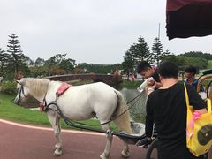 -迪茵湖田家舍生态农场