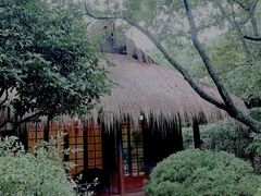 -中国茶叶博物馆(双峰馆区)