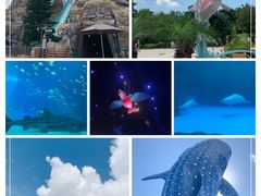 -珠海长隆海洋王国