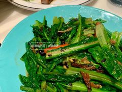 -新世界餐厅(万达店)