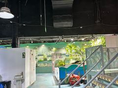 -上海大自然野生昆虫馆(东方明珠·爬宠昆虫探索中心)