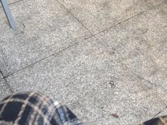 -85度C(深圳佳宁娜店)