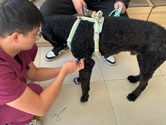 -宠福鑫康馨动物医院·骨科·眼科