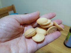 -光明牛奶棚(南泉店)