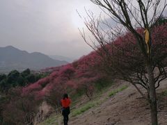 -溪口-滕头旅游景区