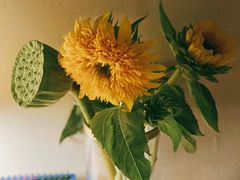 -BoBloom花店(晶耀前滩店)