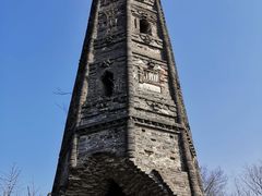 -上海佘山国家森林公园天马山园