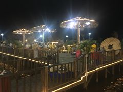 -一煲鸽