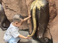 -成都动物园