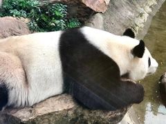 -沈阳森林动物园