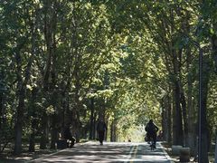 -黛秀湖公园
