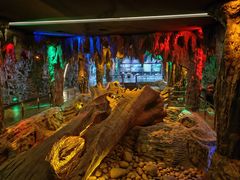 -乐山乌木文化博览苑