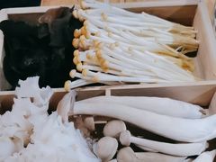 -巴奴毛肚火锅(相州店)