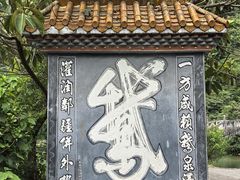 -靖西鹅泉风景区